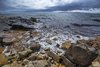 Arran