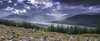 W drodze nad Loch Ness