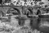 Old Stirling Bridge
