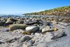 South Ronaldsay, Orkney