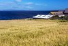 South Ronaldsay, Orkney