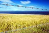 South Ronaldsay, Orkney