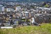 Holyrood Park