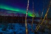 STF Abisko Turiststation