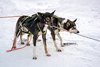 Abisko