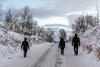 Park Narodowy Abisko