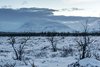 Park Narodowy Abisko