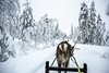 Nattavaara, Solberget