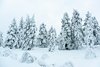 Nattavaara, Solberget