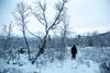 Park Narodowy Abisko