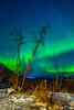 Park Narodowy Abisko