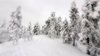 Jokkmokk, Skabram