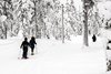 Porjus