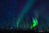 Park Narodowy Abisko