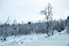 Park Narodowy Abisko