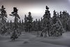 Jokkmokk, Skabram