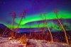 Park Narodowy Abisko