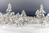 Jokkmokk, Skabram