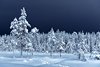 Jokkmokk, Skabram