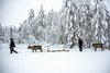 Nattavaara, Solberget