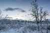 Park Narodowy Abisko
