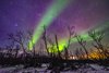 Park Narodowy Abisko