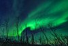 Park Narodowy Abisko