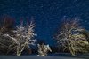 Gafsele Lapland Hostel