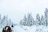 Nattavaara, Solberget