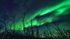 Park Narodowy Abisko