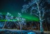 Park Narodowy Abisko