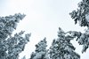 Jokkmokk, Skabram