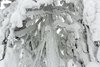 Porjus