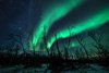 Park Narodowy Abisko