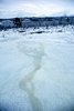 Park Narodowy Abisko