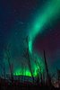Park Narodowy Abisko