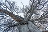 Park Narodowy Abisko