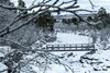 Park Narodowy Abisko
