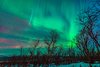 STF Abisko Turiststation