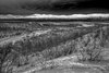 Park Narodowy Abisko