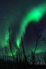 Park Narodowy Abisko