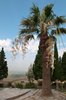 Pamukkale
