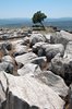 Pergamon