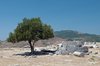 Pergamon