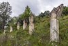 Klasztor św. Onufrego w Ławrowie - klasztor bazylianów