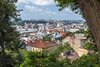 Lwów