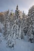 Passo Rolle