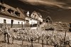Dürnstein