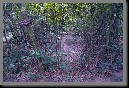image0001.jpg
