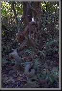 image0010.jpg